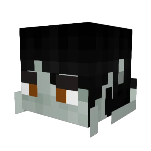 SPiNx975 Minecraft avatar head, 3D render