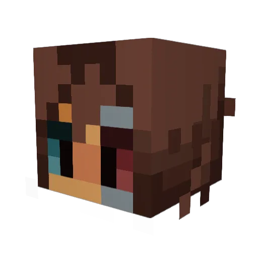 SPlldr Minecraft avatar head, 3D render