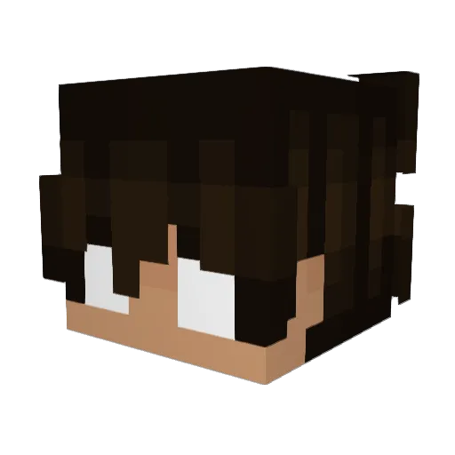 SQU1GL3 Minecraft avatar head, 3D render