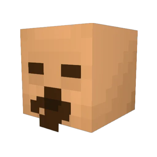 SQUAAAAAAAAAAA Minecraft avatar head, 3D render