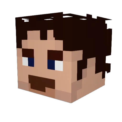 SQUID_LUDWIG Minecraft avatar head, 3D render