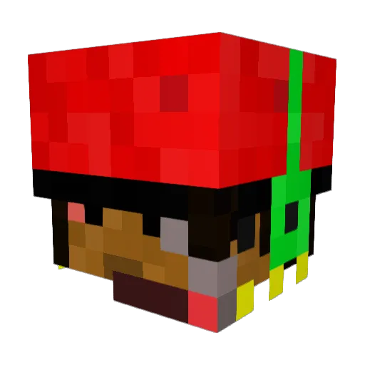 SRDOKIDOKI Minecraft avatar head, 3D render