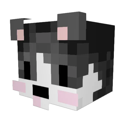 SRJOSSTUN1 Minecraft avatar head, 3D render