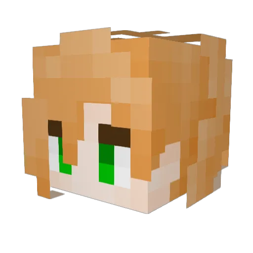 SROber4904 Minecraft avatar head, 3D render