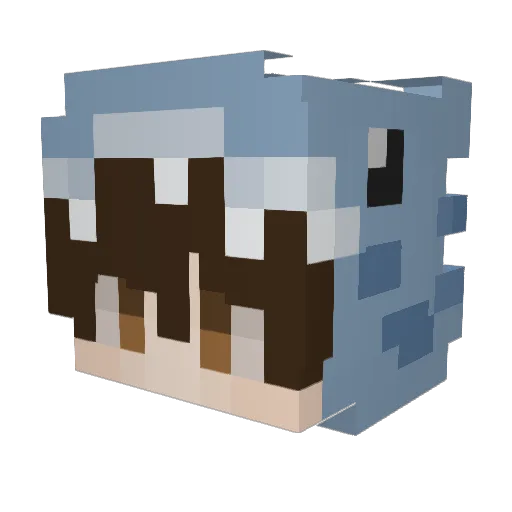SRUDT Minecraft avatar head, 3D render