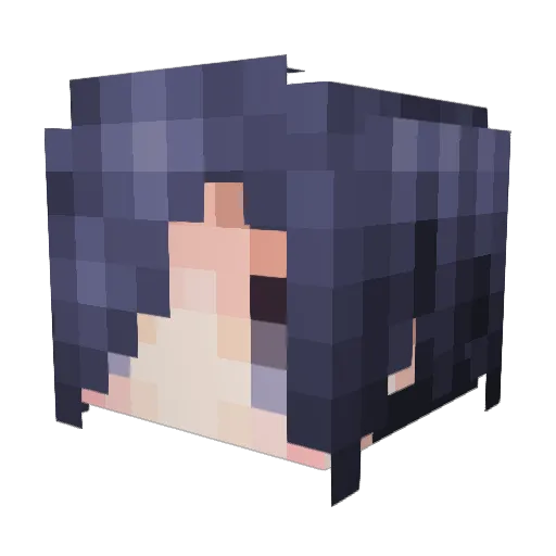 SR_FISH Minecraft avatar head, 3D render