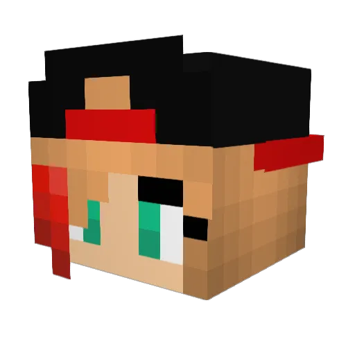 SRlover1234 Minecraft avatar head, 3D render