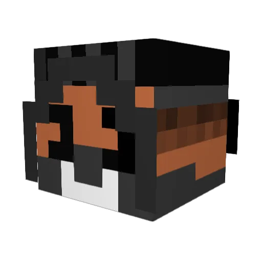 SS3SS Minecraft avatar head, 3D render