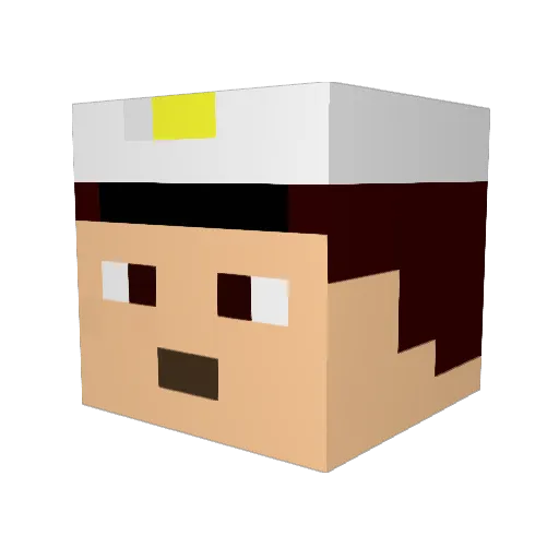 SSAPILOT Minecraft avatar head, 3D render
