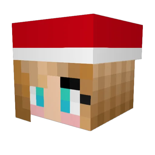 SSBM_Dom Minecraft avatar head, 3D render
