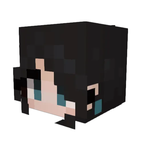SSEONNEU Minecraft avatar head, 3D render