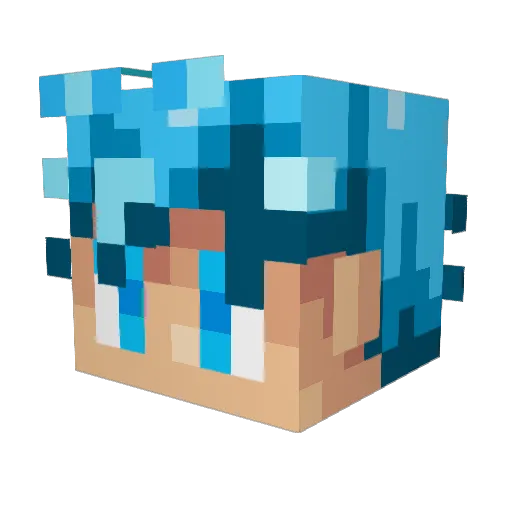 SSGSSNyke Minecraft avatar head, 3D render