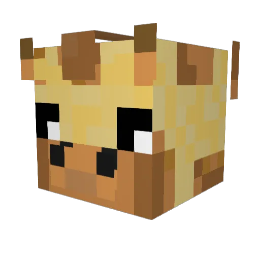 SSGo Minecraft avatar head, 3D render