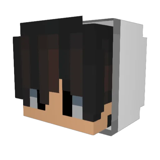 SSH0114 Minecraft avatar head, 3D render