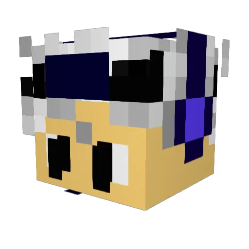 SSJ_Shadowkid Minecraft avatar head, 3D render