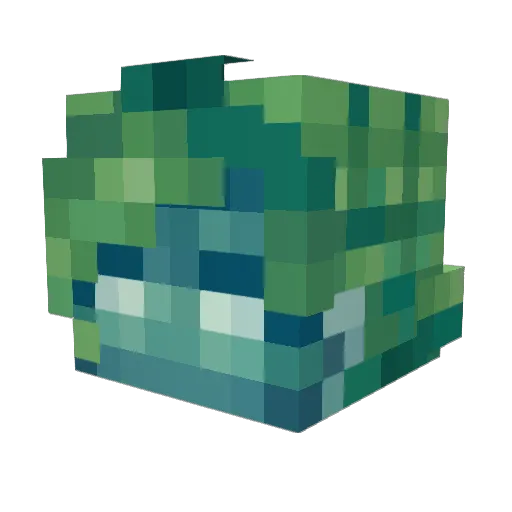 SSKelp Minecraft avatar head, 3D render