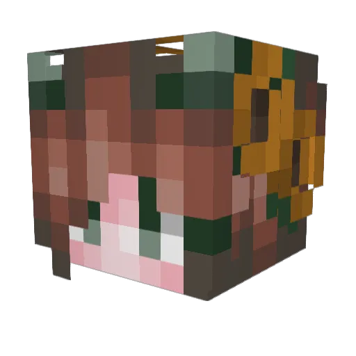 SSLPJ Minecraft avatar head, 3D render