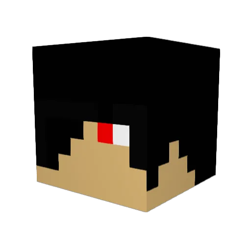 SSL_Owl Minecraft avatar head, 3D render