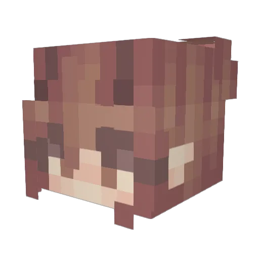 SSPEARMINTS Minecraft avatar head, 3D render