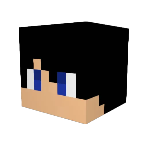 SSSHHHH Minecraft avatar head, 3D render