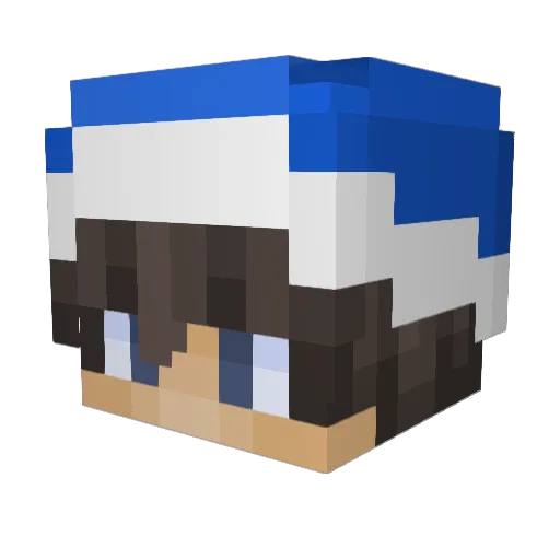 SSSNIPERWWWOLFFF Minecraft avatar head, 3D render