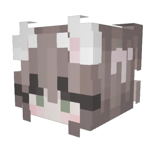 SSSSonny Minecraft avatar head, 3D render
