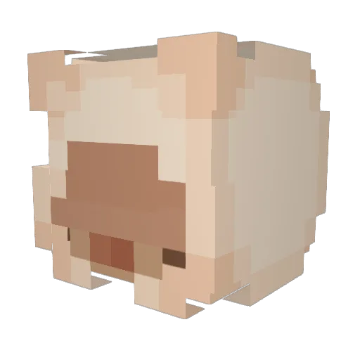 SSSXX Minecraft avatar head, 3D render