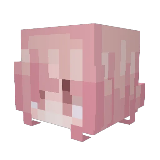 SSUN_HYUNG Minecraft avatar head, 3D render