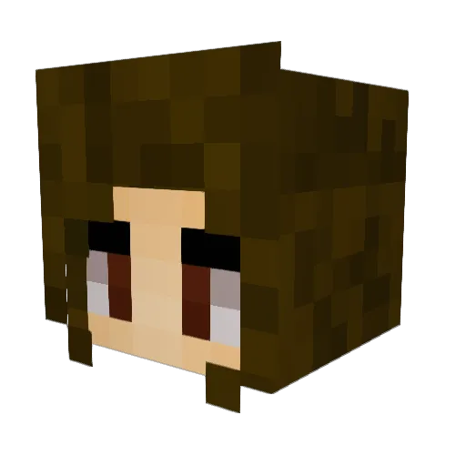 SSZ789 Minecraft avatar head, 3D render