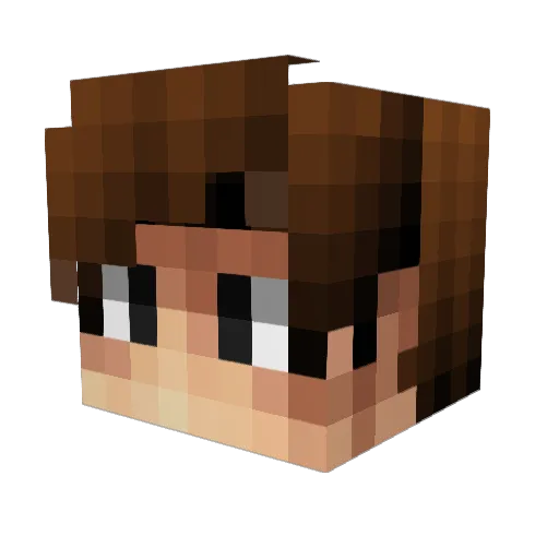 SS_Sammy Minecraft avatar head, 3D render
