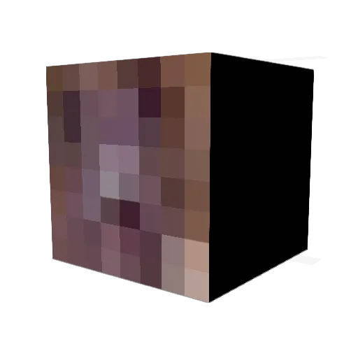 SSalamiLid Minecraft avatar head, 3D render