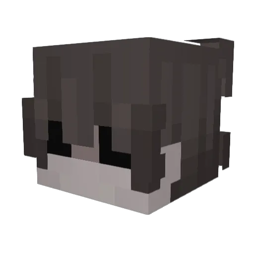 SSeung_ho7 Minecraft avatar head, 3D render