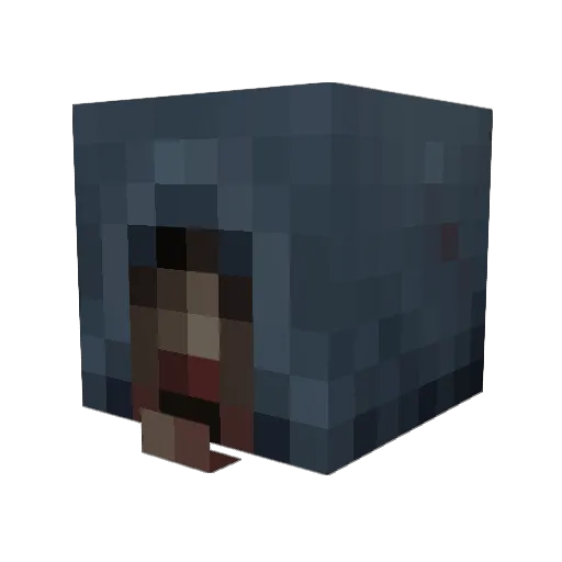 SSgt_Adams Minecraft avatar head, 3D render