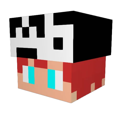 SShazu14 Minecraft avatar head, 3D render