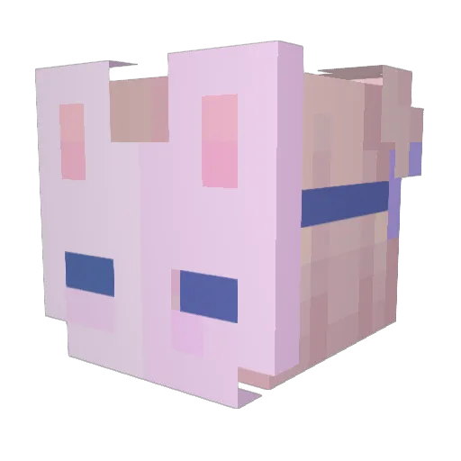 SSoapyCat Minecraft avatar head, 3D render