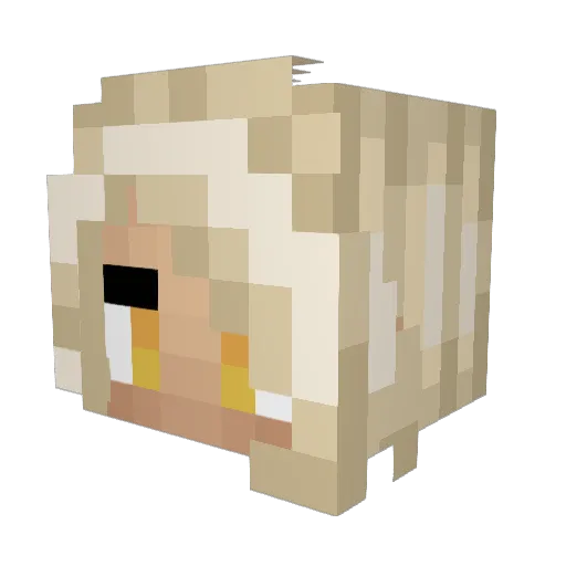 SSolomon Minecraft avatar head, 3D render