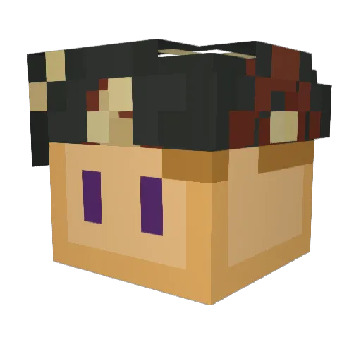 SSonlyNOT Minecraft avatar head, 3D render