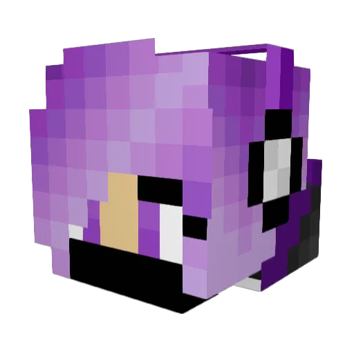 SSstardust Minecraft avatar head, 3D render