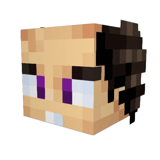 SStilinski02 Minecraft avatar head, 3D render