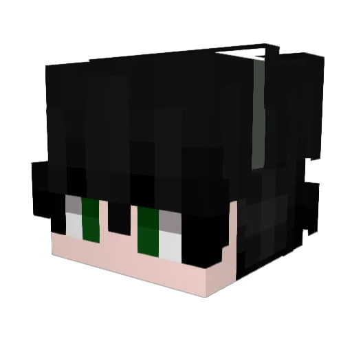 SSungMin_ Minecraft avatar head, 3D render