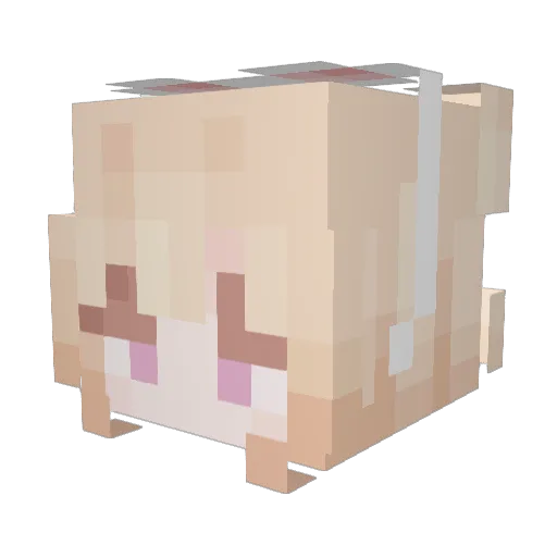 SSunrise_ Minecraft avatar head, 3D render
