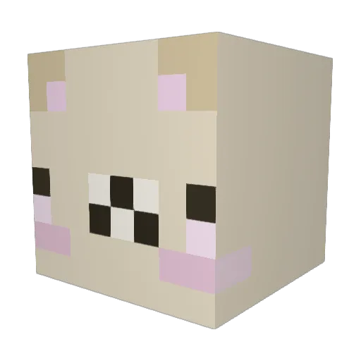 ST1NKUS Minecraft avatar head, 3D render