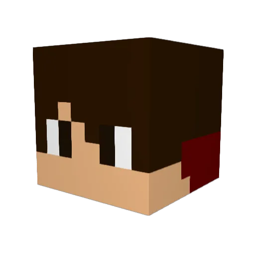 ST3RG3 Minecraft avatar head, 3D render