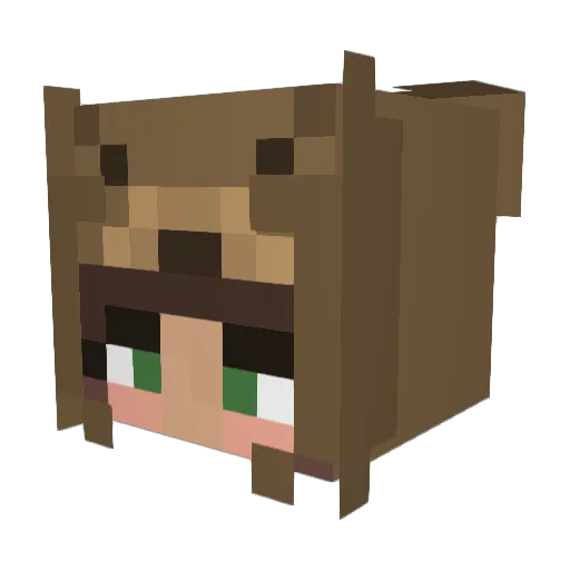 ST3WSHI Minecraft avatar head, 3D render