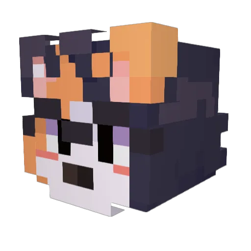 ST4R__CH1LD Minecraft avatar head, 3D render