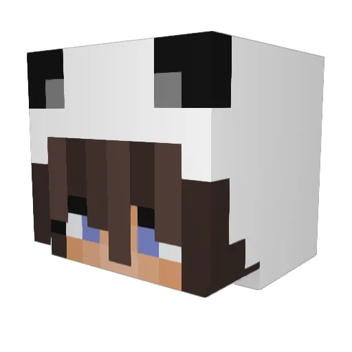 STACHURSKY Minecraft avatar head, 3D render