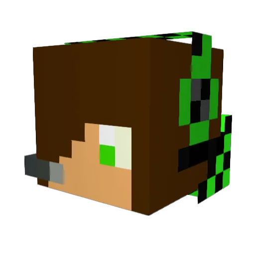 STANKYBBL Minecraft avatar head, 3D render