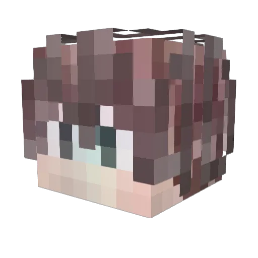 STAR1101 Minecraft avatar head, 3D render