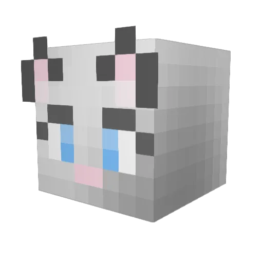 STARBLAZE09 Minecraft avatar head, 3D render