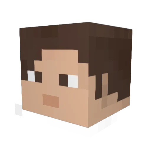 STAREAGLE18 Minecraft avatar head, 3D render
